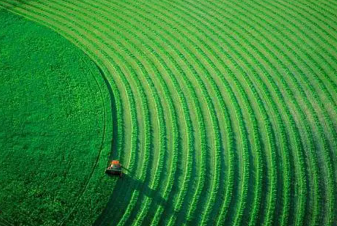 明年在现在与古代的不同含义及出处，你知道吗？