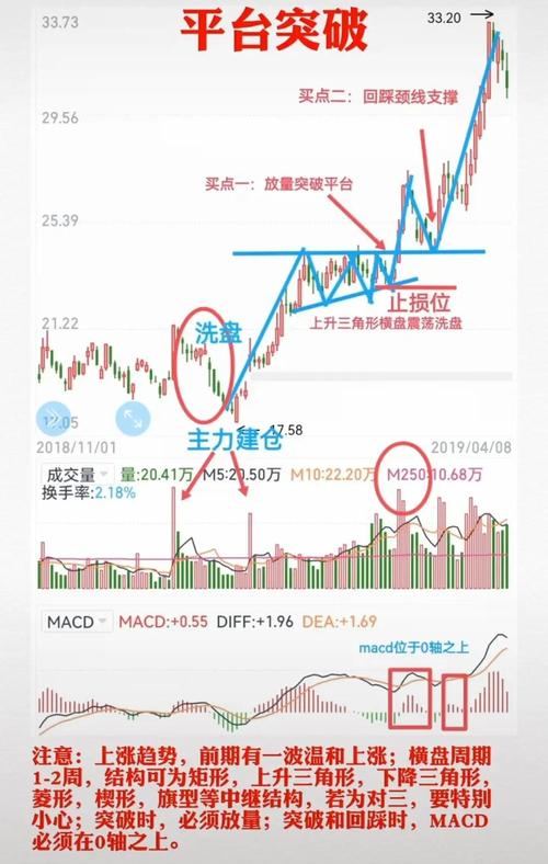 厦门象屿2025年三季报分析_xd的股票是什么意思_XD厦门象600057资金流向