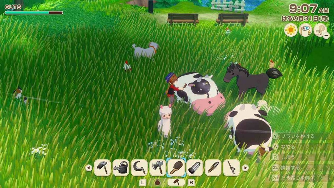 牧场物语精灵驿站赚钱_ 滑翔伞牧场物语风之繁华集市 _牧场物语风之繁华集市Nintendo Switch 