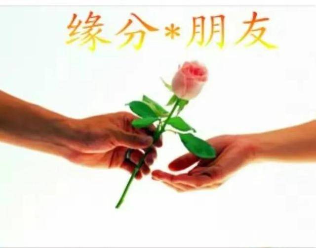 朋友关系定义_朋友圈排行榜怎么看_朋友层次分类