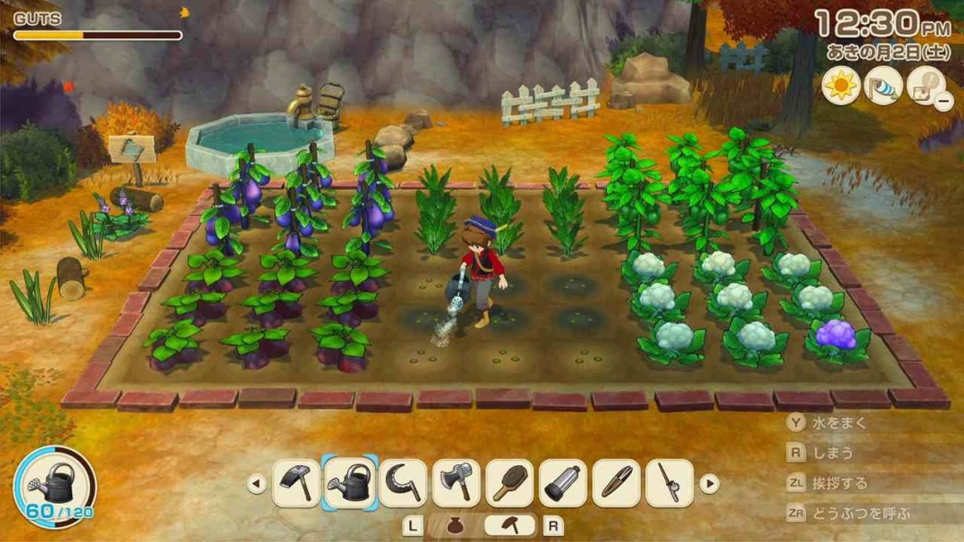 牧场物语 来吧！风之繁华集市 集市系统介绍_牧场物语 来吧！风之繁华集市 集市摆设_牧场物语精灵驿站赚钱