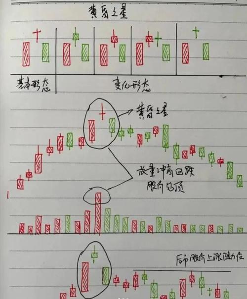 从零开始学炒股：新手入门、大智慧详解及买卖之道介绍