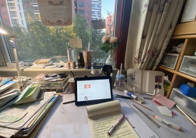 00后轻创业_2025无本赚钱好项目_宠物视频代剪