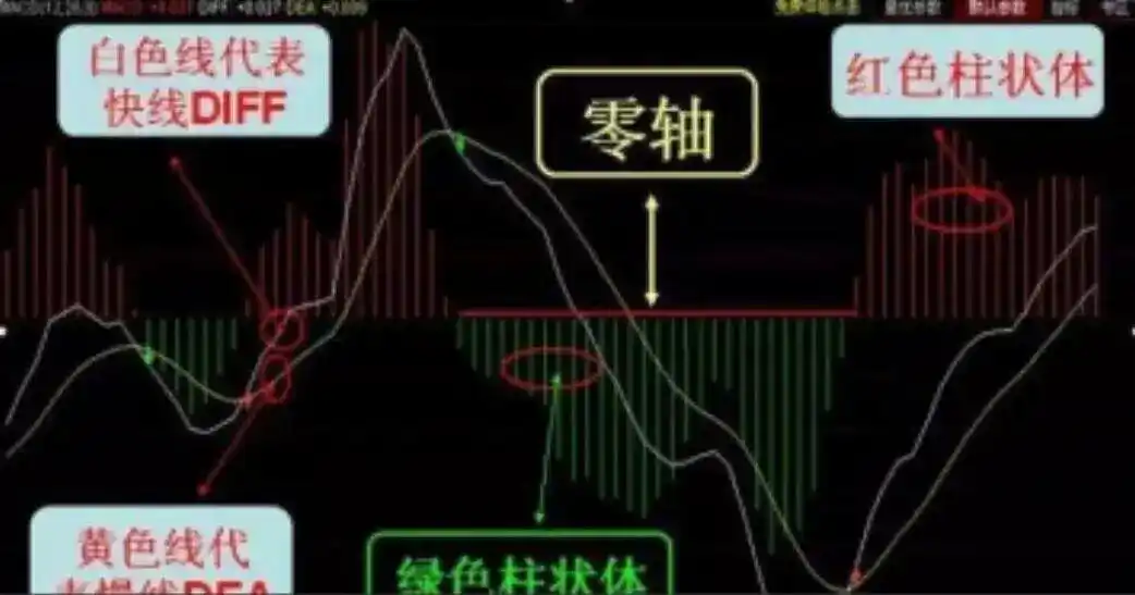 炒股多年亏损原因_日线底背离选股公式_MACD指标实战应用技巧