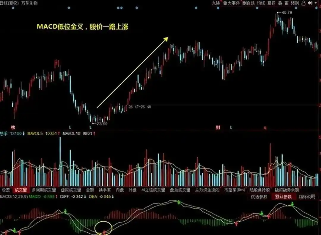 日线底背离选股公式_炒股多年亏损原因_MACD指标实战应用技巧