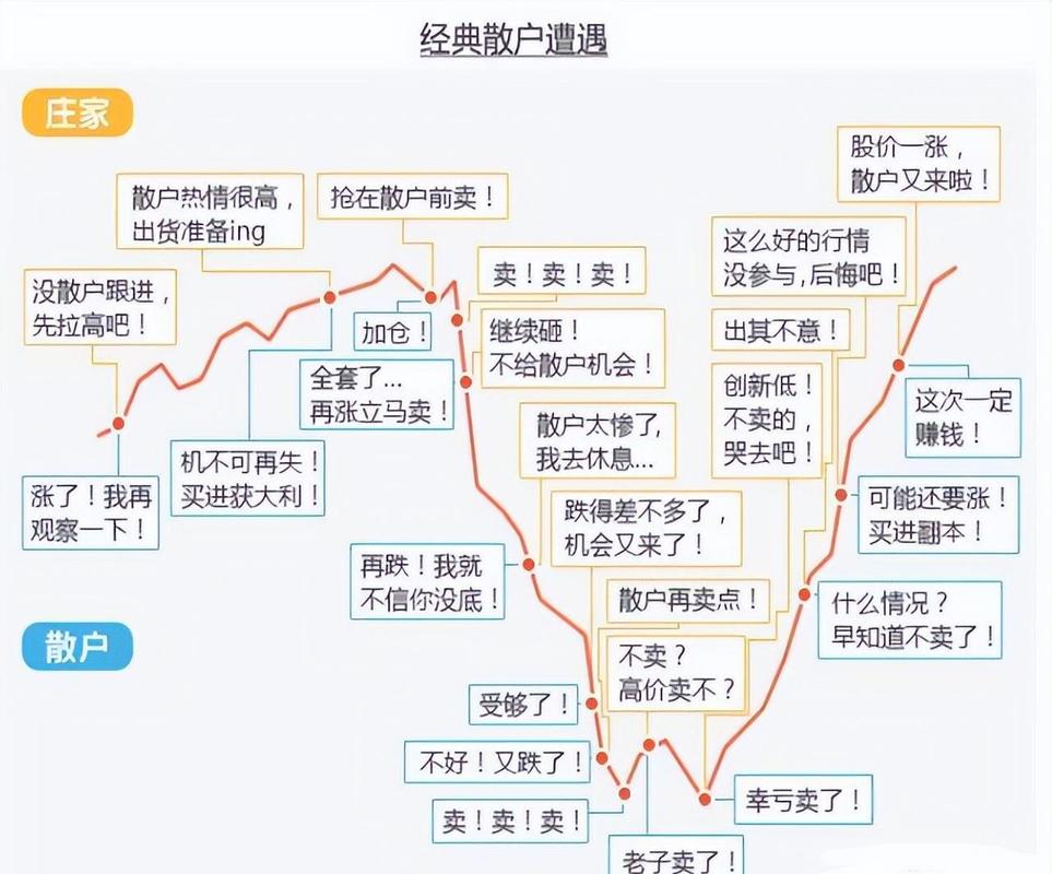 A股散户持股几只最赚钱？前50股票里这样选不超过5只