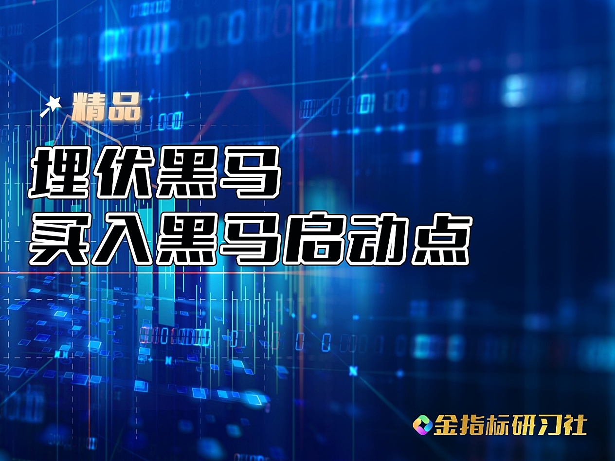 【精品】通达信买在黑马启动点【副图】指标,埋伏低吸点位精准,胜率90以上