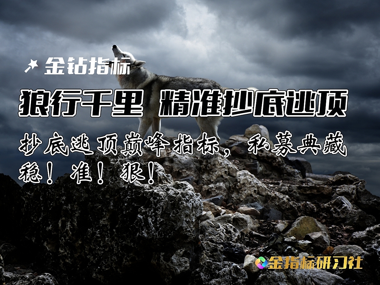 【金钻】通达信狼行千里量价精准抄底逃顶【主图】指标,私募典藏波段高抛低吸必备