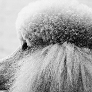 大学生校园高利贷法律咨询_在网上放贷款赚钱_大学生小额放款违法