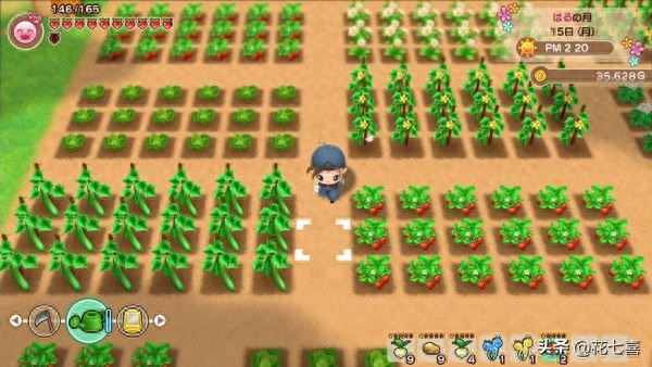 矿石镇开启新牧场生活，种植饲养恋爱结婚乐趣多