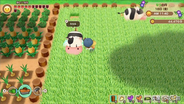 牧场物语再会矿石镇游戏攻略_矿石镇牧场生活指南_牧场物语精灵驿站赚钱