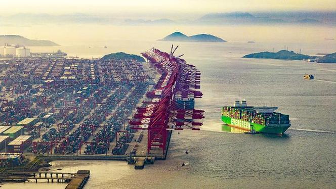 洋山深水港集装箱码头起重机_浙江自贸区发展历程_舟山市自贸区