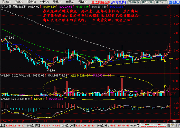 第8节：一脚踢出大黑马！赤脚底形成机理及关键要点解析