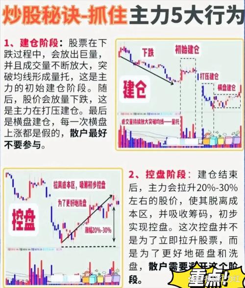 主力资金减仓分析_新宏泰电器资金流向_新宏泰股票今日行情
