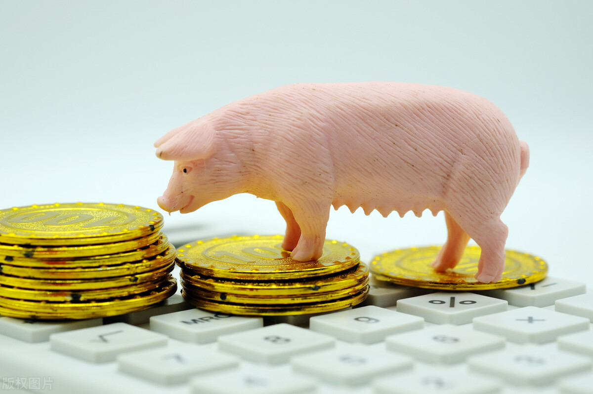 山东今日仔猪价格行情预测_中秋后猪价上涨可能性_仔猪价格下跌原因分析