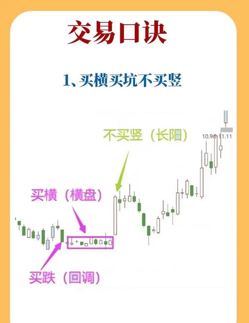 新手选股入门指南：5个实用步骤教你告别盲目跟风