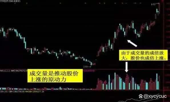 持仓量低 成交量大 说明什么_量比换手率市值