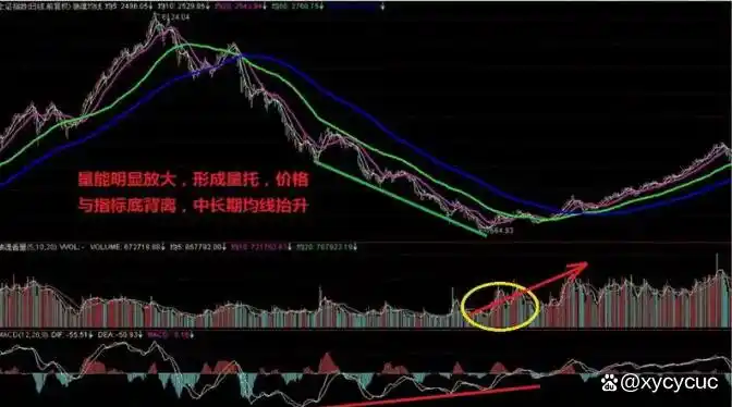 持仓量低 成交量大 说明什么_量比换手率市值