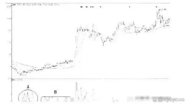 量比换手率市值_持仓量低 成交量大 说明什么