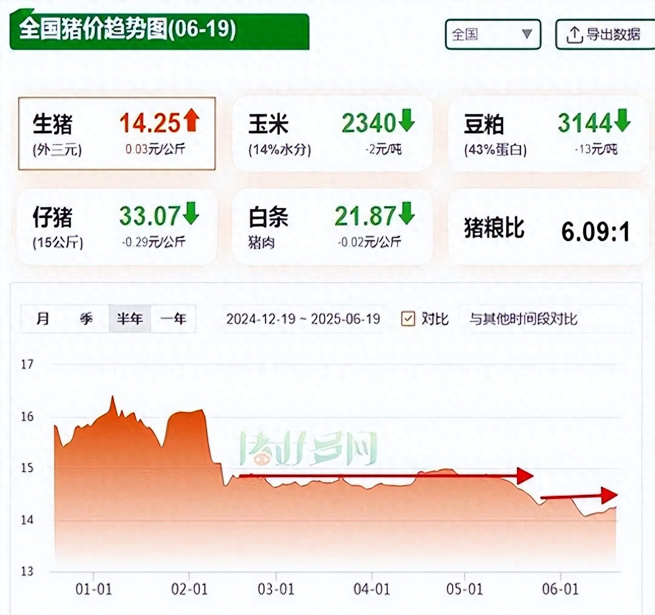 6月19日15公斤仔猪价格大跳水，养猪户直呼扛不住！背后原因是？