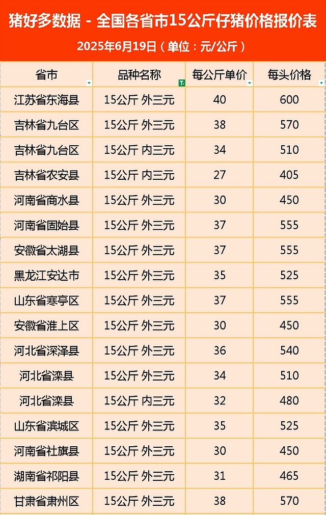 猪价横盘仔猪跳水分析_山东今日仔猪价格行情预测_6月19日15公斤仔猪价格下跌