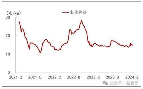 山东今日仔猪价格行情预测_生猪交易均重下降_6月份生猪出栏均重预测