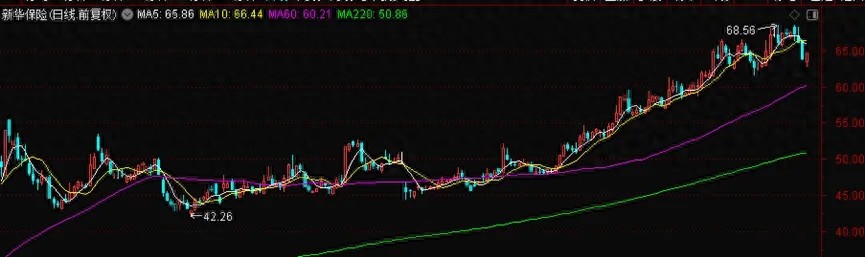 新华保险半年报披露，投资动向与鸿鹄基金细节引关注