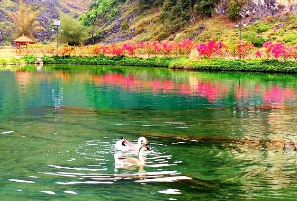 A股冲高回落，尾盘小幅拉高：抗疫股延续上涨，煤炭有色掀涨停潮