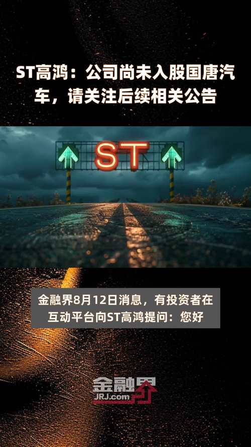 5月13日*ST高鸿发布业绩说明会记录，投资者关注重组进度并提出质疑？
