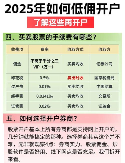 开户多久能买创业板股票？了解股票开户时间及流程要点