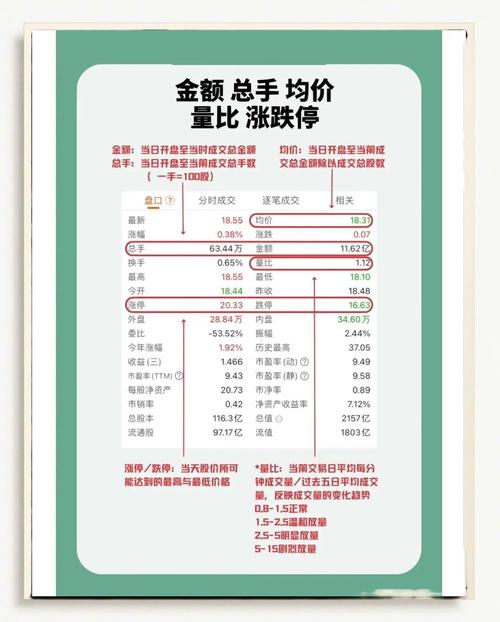 查看上市公司财务报表_股市技术指标分析大全_分析上市公司财报指标