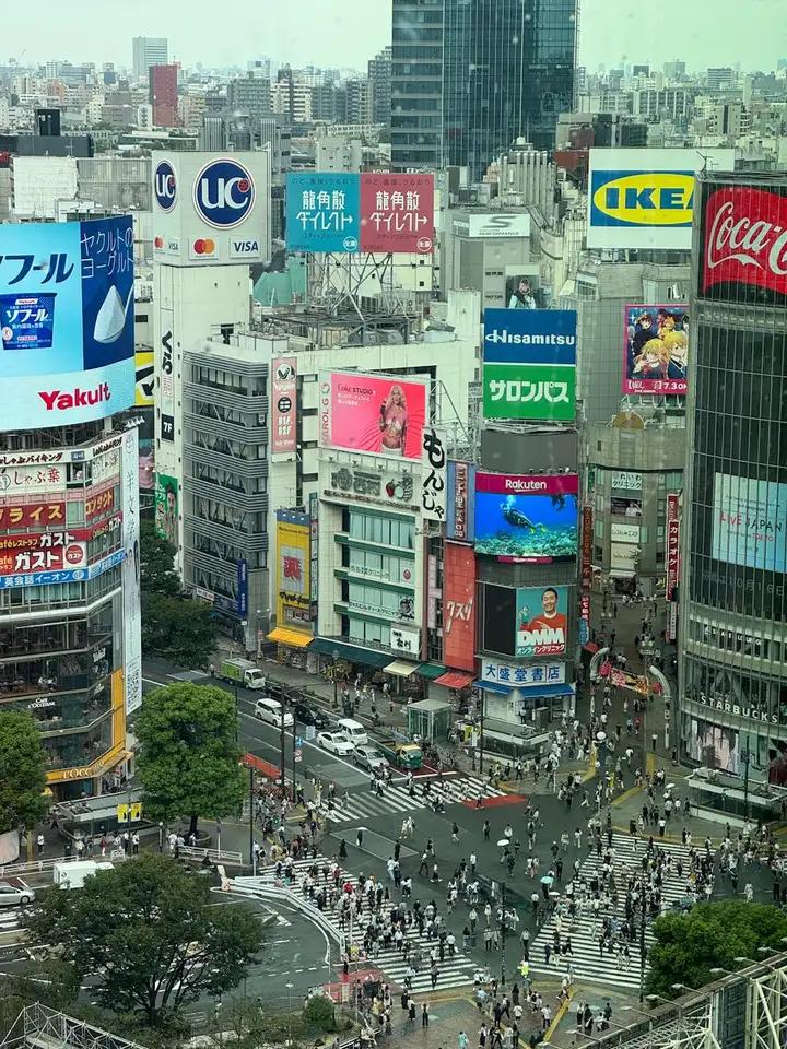 好友反攻选股战法_新捉妖战法选股公式_阳K线假阳线选股技巧