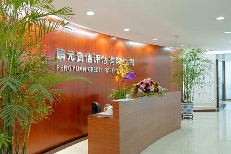 鹏元资信被警示：11超日债评级违规，未及时跟踪评级报告引发监管关注