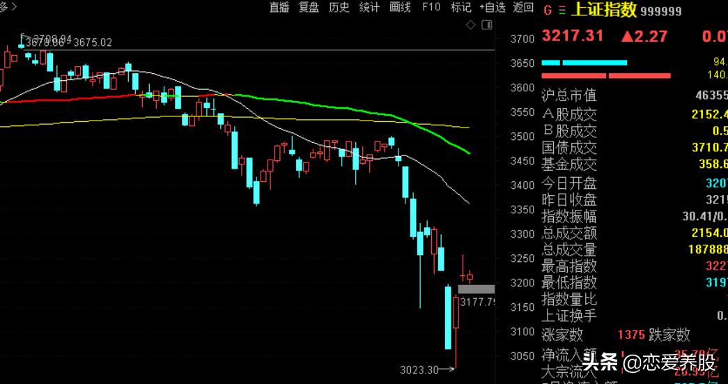 大盘反弹普涨却赚指数不赚钱？教你怎样选强势板块和股