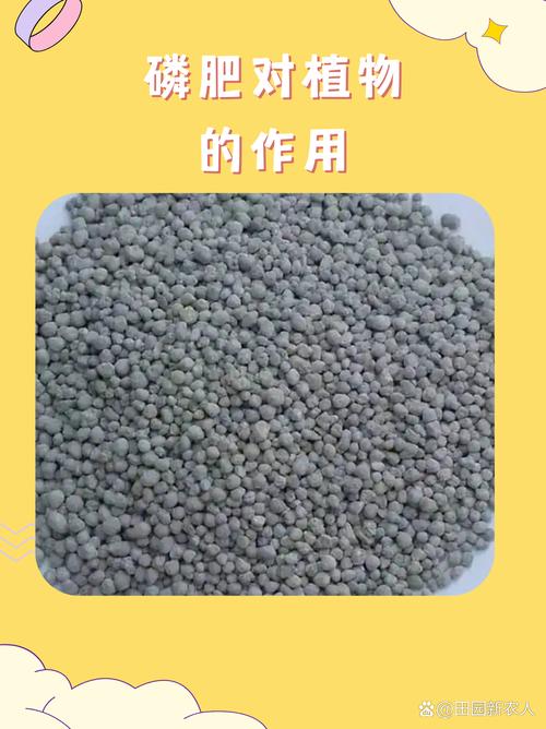 淘米水 磷肥_磷肥种类_磷肥肥效影响因素