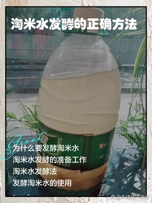 自制有机花肥制作方法_淘米水 磷肥_淘米水发酵肥料