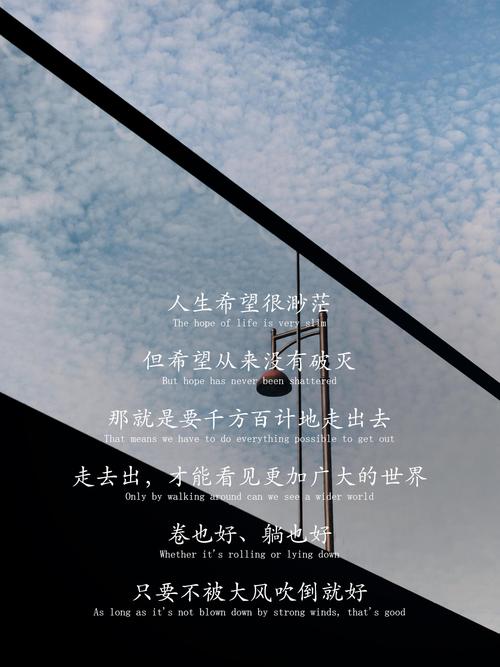 老股民的炒股操作技巧_抱有希望但不要过于乐观_斯托克代尔生存之道