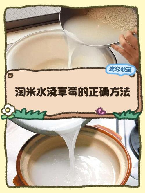 淘米水用途多：浇植物效果佳，清洗物品也不错