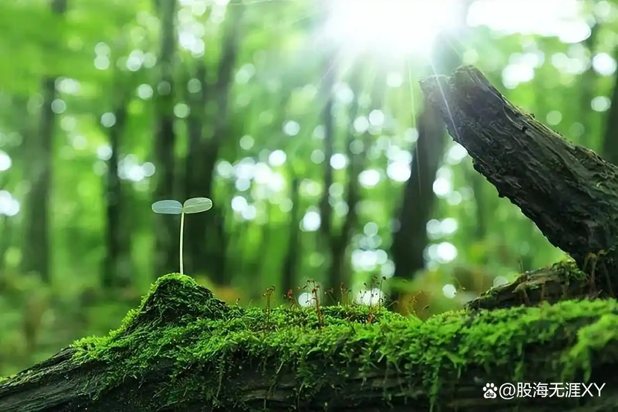 股票选股高级技巧_炒股八大时期经验总结_股民炒股成长阶段