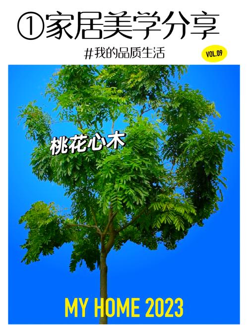 卡雅楝属木材的特点及与桃花心木属木材对比介绍