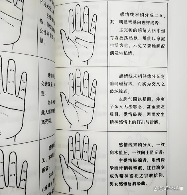 断掌三线合一_断掌真假辨别_断掌手相解读