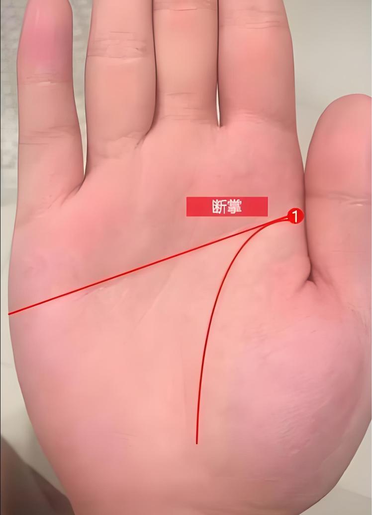断掌三线合一_断掌真假辨别_断掌手相解读