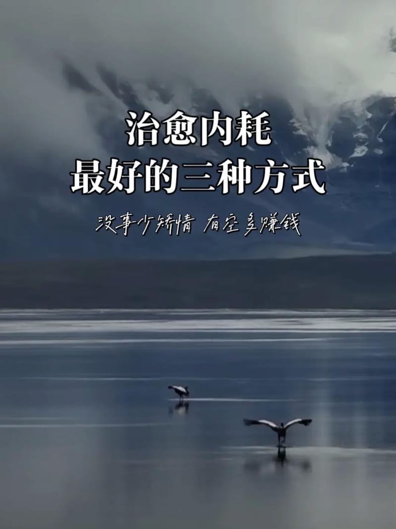 中老年运动养生_治愈内耗读书法_阅读赚钱软件