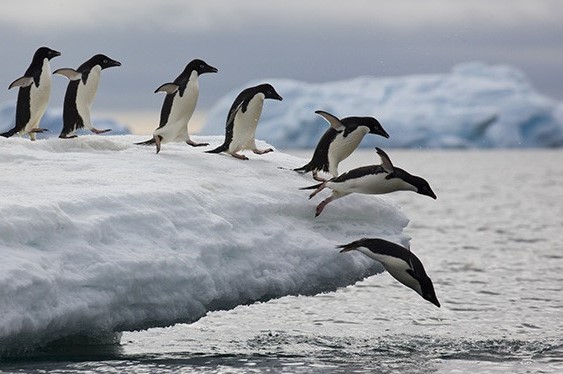 股票资金流向代表什么？如何看主力资金流向及与涨跌关系？