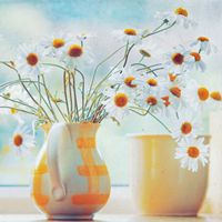 京东和苏宁易购哪个更便宜？比价分析给你看