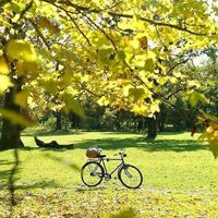 苏宁易购与京东对比_苏宁易购线下门店优势_京东比苏宁易购便宜