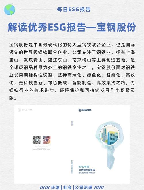 宝钢王建跃：宝钢环境经营实践与展望阐述战略实质及成效