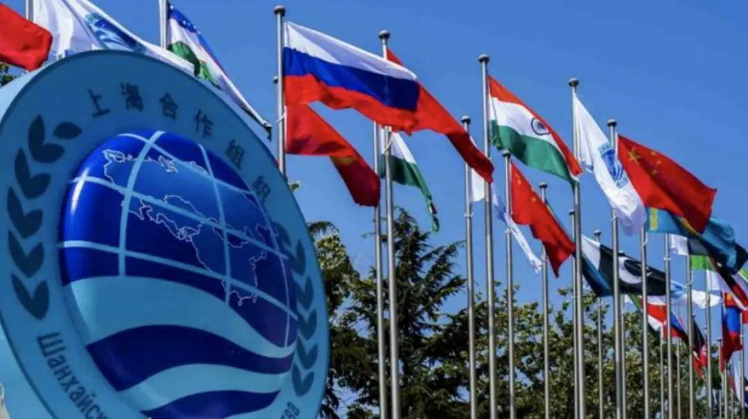 2025年中国与世界重要事件_2025年全球大事件时间表_2025财务造假案例 论文