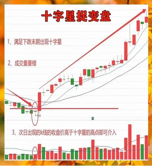 股票市场资金流向在哪里看_A股阳十字星分析_高位股跌停潮解读