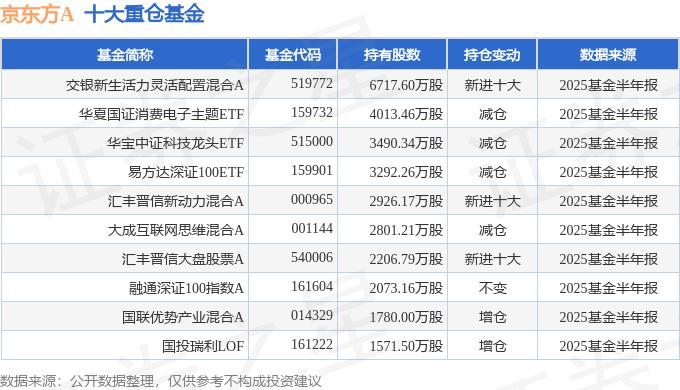 000725京东方A 2025年中报解读，营收利润双升，这些指标要关注